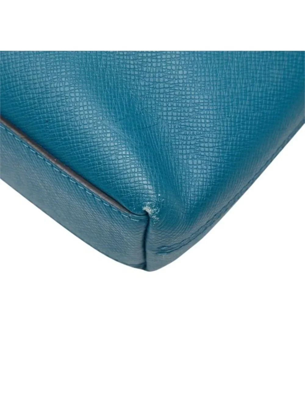 Louis Vuitton brand louis